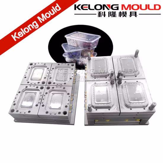 Proveedor de moldes de envases de alimentos de vajilla desechable de inyección de plástico