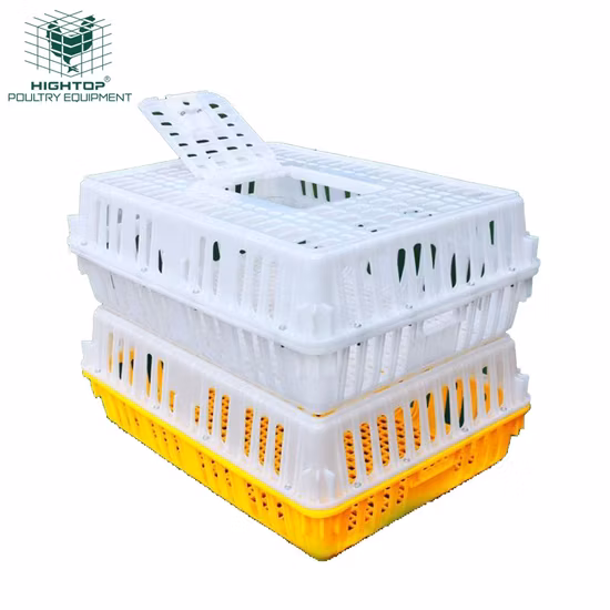 Molde Hongmei de plástico para cuchillos de cocina, estante para cuchillos de cocina, molde para estante, cuchara, tenedor, molde para jaula de palillos